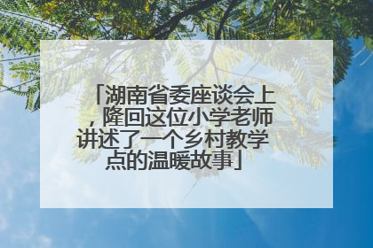 湖南省委座谈会上，隆回这位小学老师讲述了一个乡村教学点的温暖故事