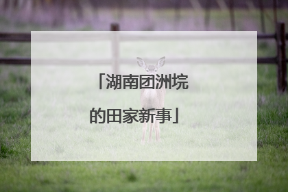 湖南团洲垸的田家新事