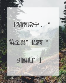 湖南常宁：“筑金巢”招商“引雁归”