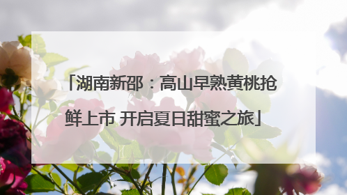 湖南新邵：高山早熟黄桃抢鲜上市 开启夏日甜蜜之旅
