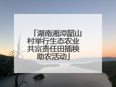 湖南湘潭韶山村举行生态农业共富责任田插秧助农活动