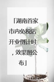 湖南首家市内免税店开业倒计时，效果图公布
