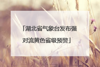 湖北省气象台发布强对流黄色省级预警