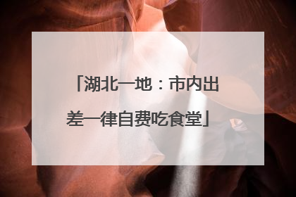 湖北一地：市内出差一律自费吃食堂