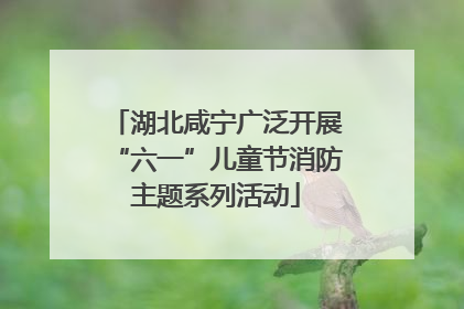 湖北咸宁广泛开展“六一”儿童节消防主题系列活动