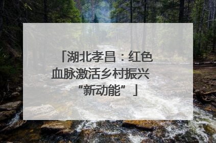 湖北孝昌：红色血脉激活乡村振兴“新动能”
