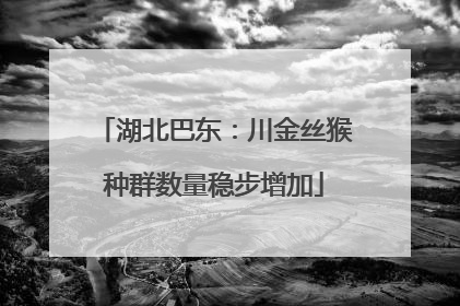 湖北巴东：川金丝猴种群数量稳步增加