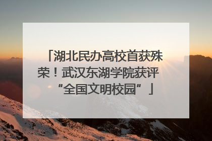 湖北民办高校首获殊荣！武汉东湖学院获评“全国文明校园”