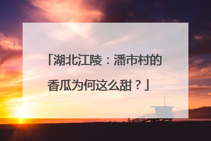 湖北江陵：潘市村的香瓜为何这么甜？