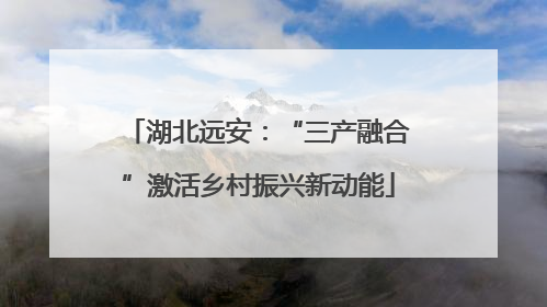 湖北远安：“三产融合”激活乡村振兴新动能