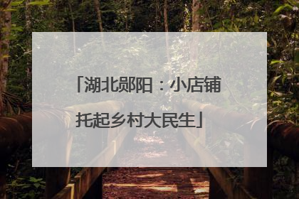 湖北郧阳：小店铺托起乡村大民生