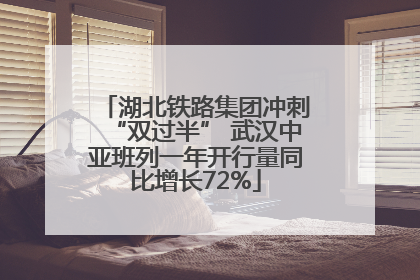 湖北铁路集团冲刺“双过半” 武汉中亚班列一年开行量同比增长72%