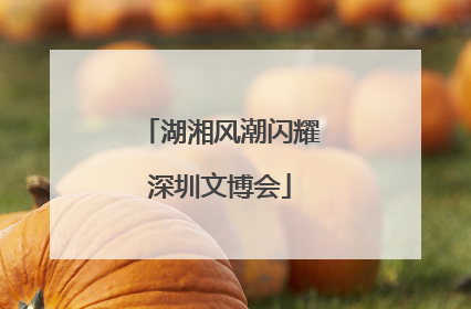 湖湘风潮闪耀深圳文博会