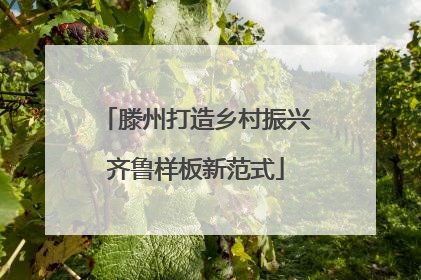 滕州打造乡村振兴齐鲁样板新范式