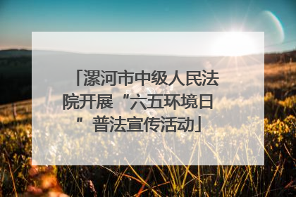 漯河市中级人民法院开展“六五环境日”普法宣传活动