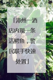 漳州一酒店内现一条活鳄鱼，警民联手快速处置
