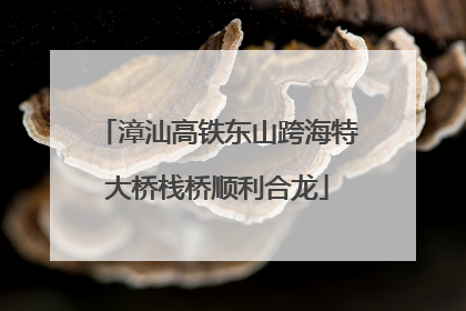 漳汕高铁东山跨海特大桥栈桥顺利合龙