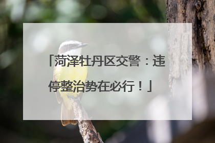 菏泽牡丹区交警：违停整治势在必行！