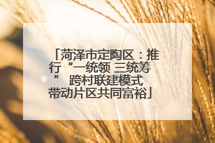 菏泽市定陶区：推行“一统领 三统筹” 跨村联建模式 带动片区共同富裕
