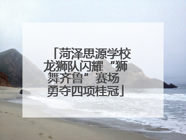 菏泽思源学校龙狮队闪耀“狮舞齐鲁”赛场 勇夺四项桂冠