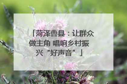 菏泽曹县：让群众做主角 唱响乡村振兴“好声音”