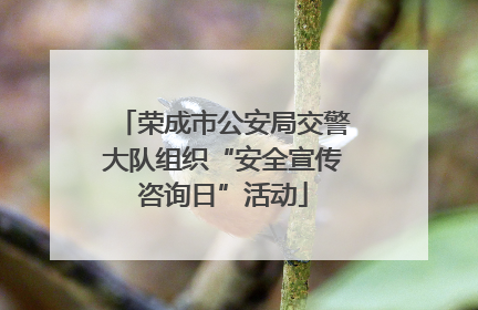 荣成市公安局交警大队组织“安全宣传咨询日”活动