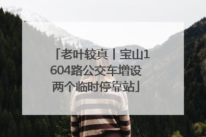 老叶较真丨宝山1604路公交车增设两个临时停靠站