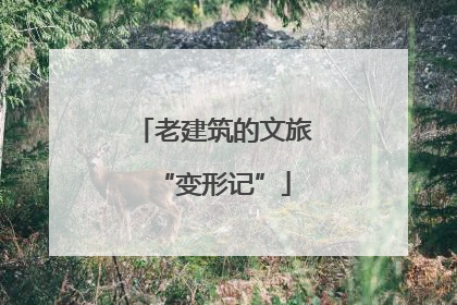 老建筑的文旅“变形记”