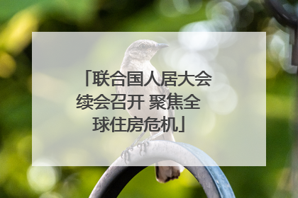 联合国人居大会续会召开 聚焦全球住房危机