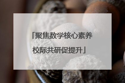 聚焦数学核心素养 校际共研促提升