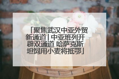 聚焦武汉中亚外贸新通道│中亚班列开辟双通道 哈萨克斯坦饲用小麦将抵鄂