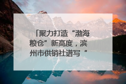 聚力打造“渤海粮仓”新高度，滨州市供销社谱写“三夏”丰收乐章