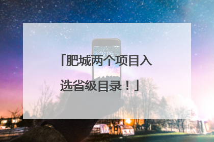 肥城两个项目入选省级目录！