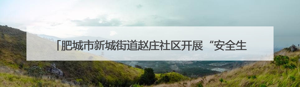 肥城市新城街道赵庄社区开展“安全生产 青年当先”安全生产月系列活动
