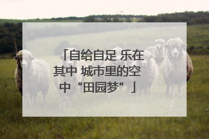 自给自足 乐在其中 城市里的空中“田园梦”