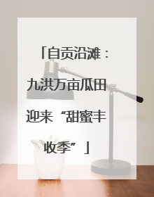 自贡沿滩：九洪万亩瓜田迎来“甜蜜丰收季”