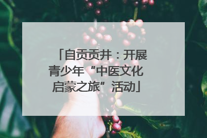 自贡贡井：开展青少年“中医文化启蒙之旅”活动