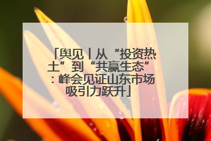 舆见丨从“投资热土”到“共赢生态”：峰会见证山东市场吸引力跃升