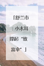 舒兰市：小木耳撑起“致富伞”
