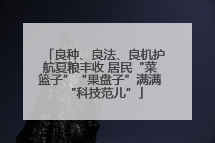 良种、良法、良机护航夏粮丰收 居民“菜篮子”“果盘子”满满“科技范儿”