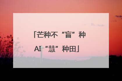 芒种不“盲”种 AI“慧”种田
