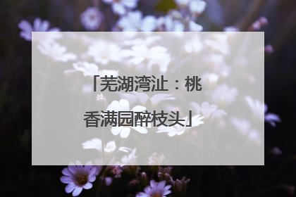 芜湖湾沚：桃香满园醉枝头