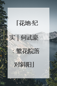 花地·纪实｜何武豪：繁花院落对斜阳