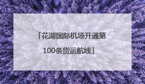 花湖国际机场开通第100条货运航线
