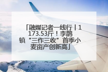 融媒记者一线行丨1173.53斤！李鹊镇“三作三收”首季小麦亩产创新高