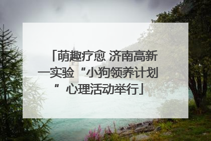 萌趣疗愈 济南高新一实验“小狗领养计划”心理活动举行