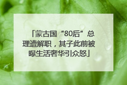 蒙古国“80后”总理遭解职，其子此前被曝生活奢华引众怒