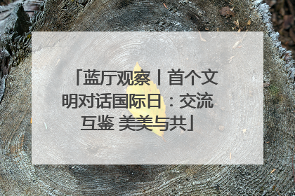 蓝厅观察丨首个文明对话国际日：交流互鉴 美美与共