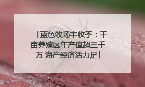 蓝色牧场丰收季：千亩养殖区年产值超三千万 海产经济活力足