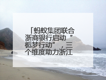 蚂蚁集团联合浙商银行启动“栀梦行动”，三个维度助力浙江下姜村建设共富示范区示范点